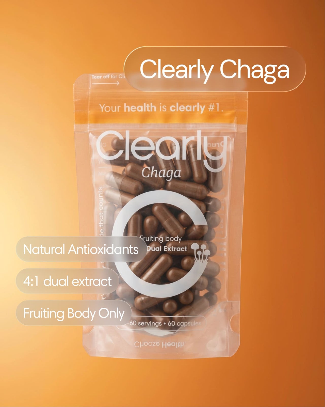 Chaga