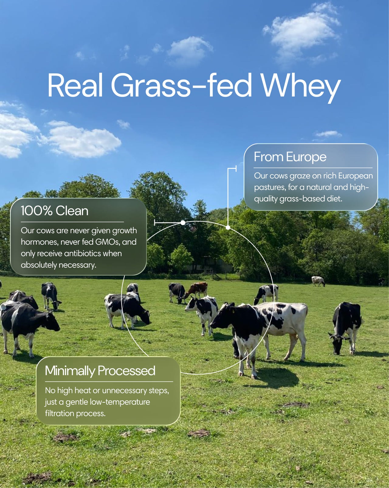 Grass-fed Whey
